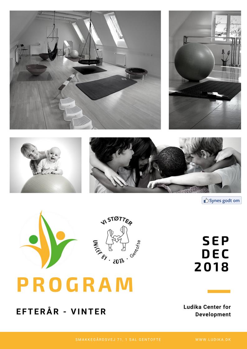 Program 2018